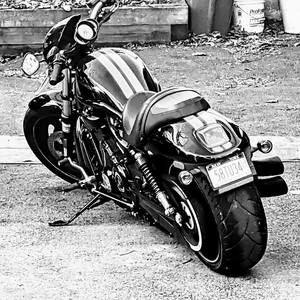 Meet your Posher, Patrick